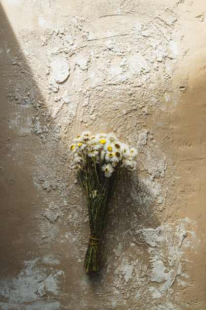 Tło Fotograficzne Toneva