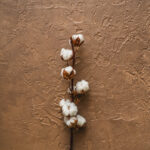 Tło Fotograficzne Caramel Canvas