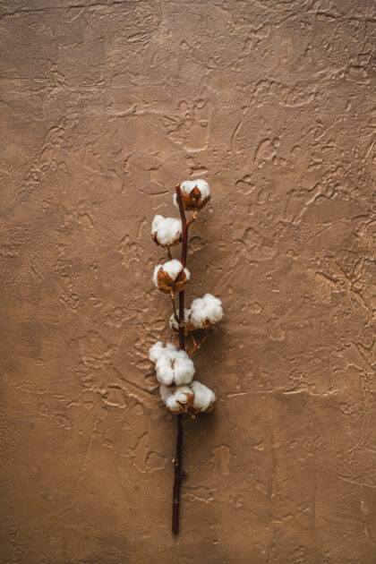 Tło Fotograficzne Caramel Canvas