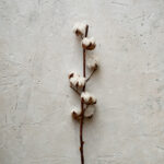 Tło Fotograficzne Porcelain White