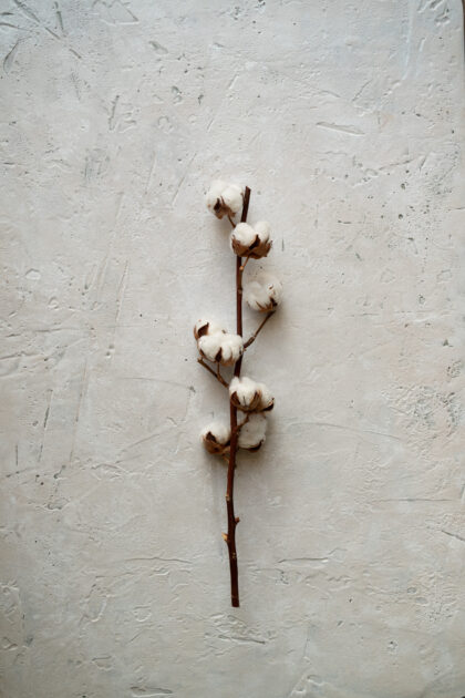 Tło Fotograficzne Porcelain White