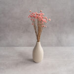 Zestaw Teł Fotograficznych Atelier Studio