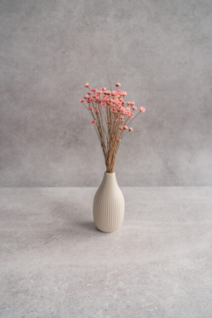 Zestaw Teł Fotograficznych Atelier Studio