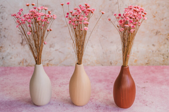 Małe tła, duże możliwości – poznaj Starter Packi