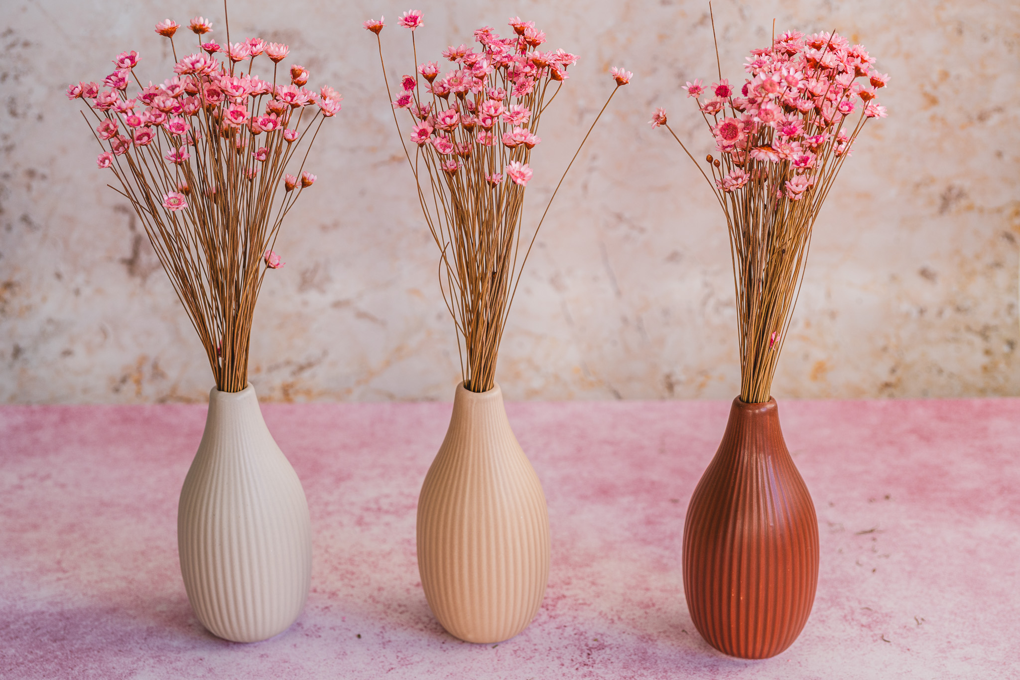 Małe tła, duże możliwości – poznaj Starter Packi