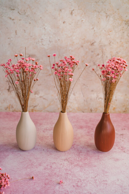 Zestaw Teł Fotograficznych Studio Balance