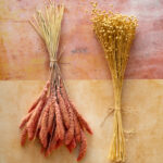 Zestaw Teł Fotograficznych Soft Sunrise