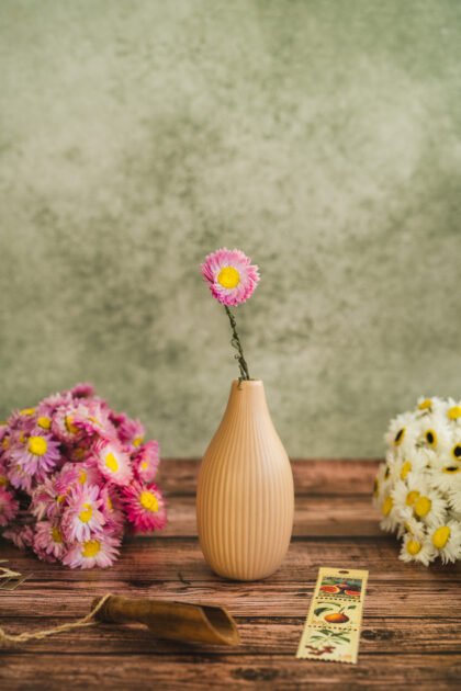 Zestaw Teł Fotograficznych Organic Tones