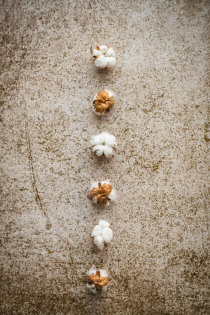 Tło Fotograficzne Golden Brown