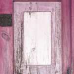 Tło Fotograficzne Florella