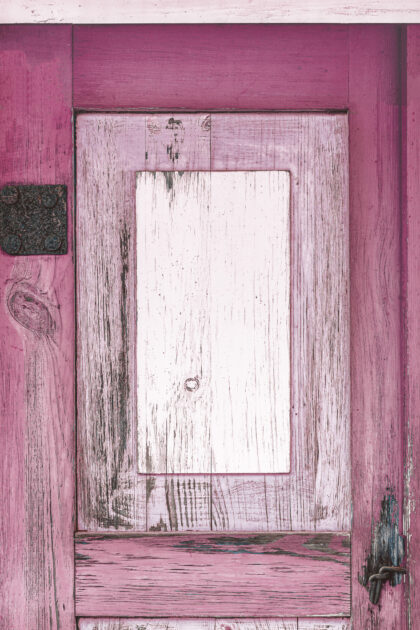 Tło Fotograficzne Florella