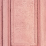 Tło Fotograficzne Rosaline