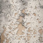 Tło Fotograficzne Calcina