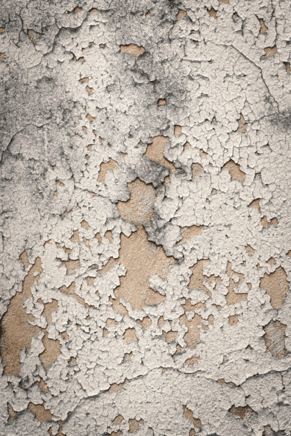 Tło Fotograficzne Calcina