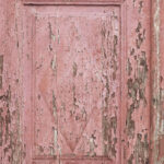 Tło Fotograficzne Petalia