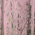 Tło Fotograficzne Floral Door