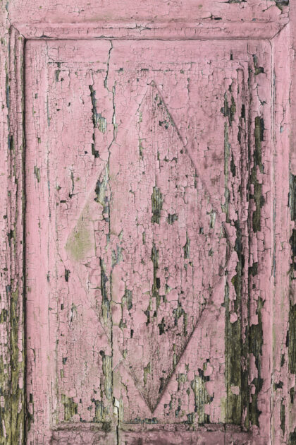 Tło Fotograficzne Floral Door