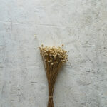 Tło Fotograficzne Soft Linen