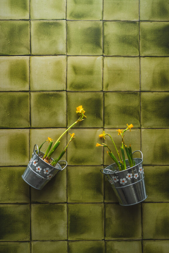 Tło Fotograficzne Herbal Green