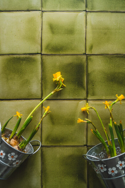 Tło Fotograficzne Herbal Green