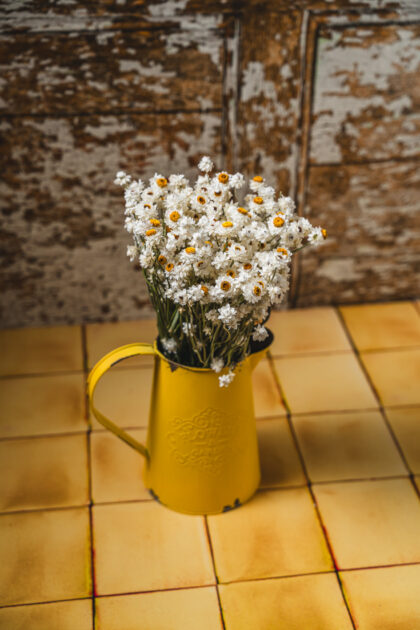 Tło Fotograficzne Mellow