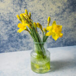 Tło Fotograficzne Blue Sunrise