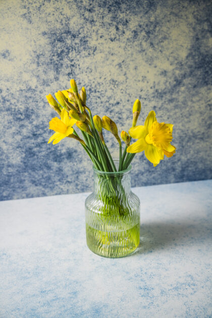 Tło Fotograficzne Blue Sunrise