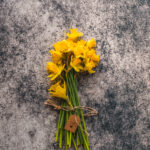 Tło Fotograficzne Eclipse Rock