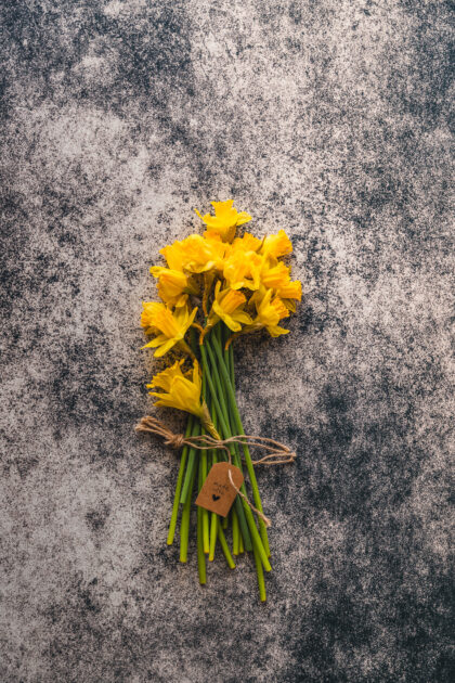 Tło Fotograficzne Eclipse Rock