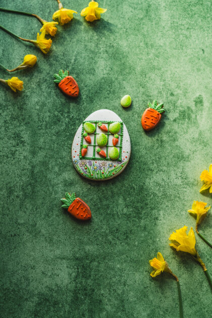 Tło Fotograficzne Emeris