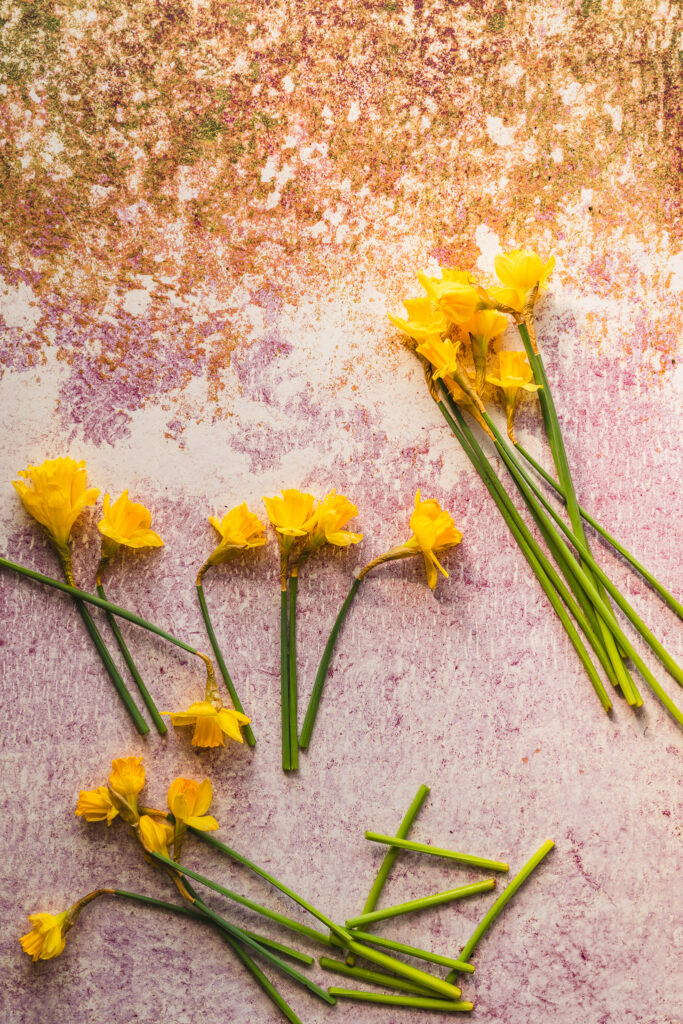 Tło Fotograficzne Rose Moss