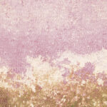 Tło Fotograficzne Rose Moss