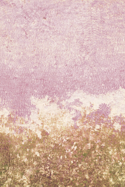 Tło Fotograficzne Rose Moss