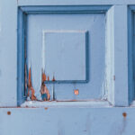 Tło Fotograficzne Dalmatian Blue Door