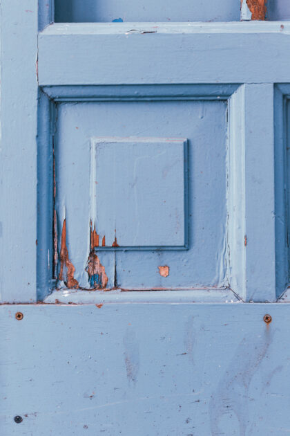 Tło Fotograficzne Dalmatian Blue Door