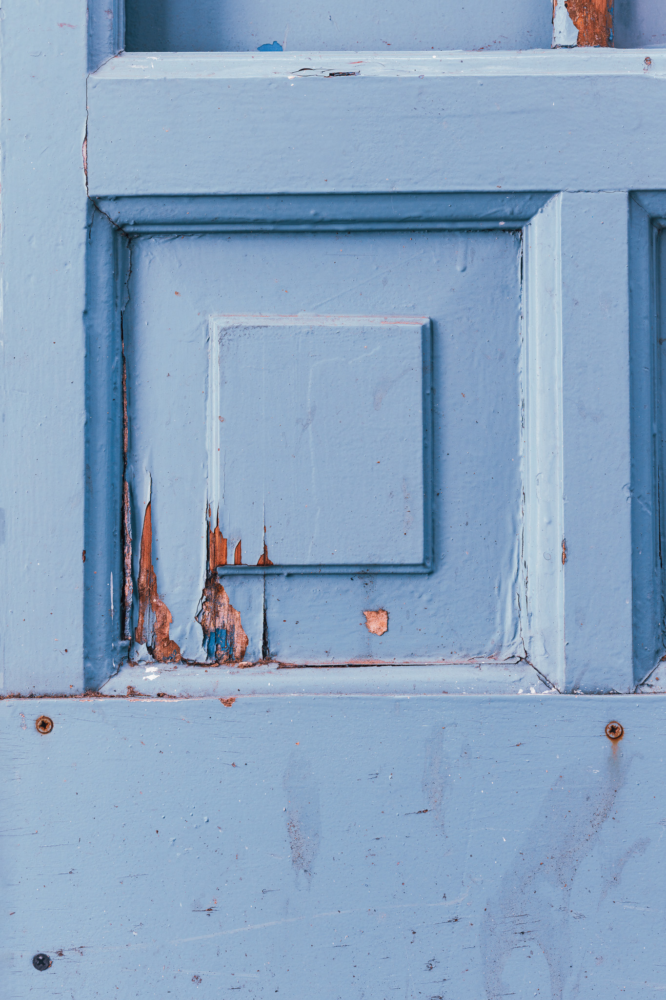 Tło Fotograficzne Dalmatian Blue Door