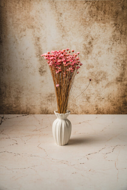 Zestaw Teł Fotograficznych Sprignature