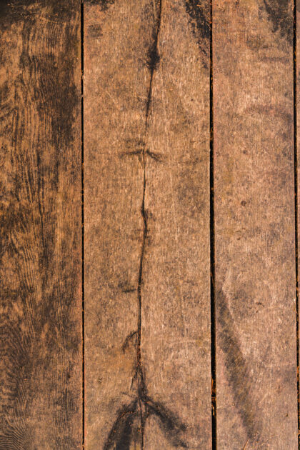 Tło Fotograficzne Authentic