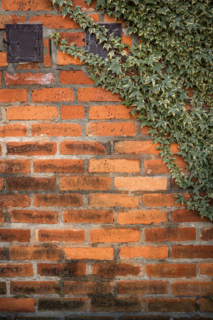 Tło Fotograficzne Secret Garden