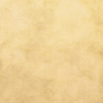 Tło Fotograficzne Sun Kissed