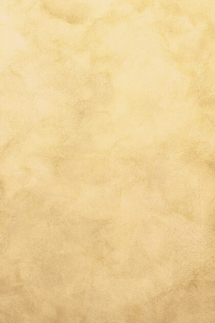 Tło Fotograficzne Sun Kissed