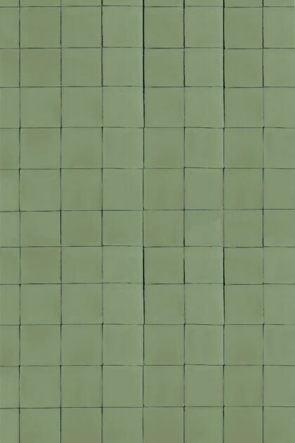 Tło Fotograficzne Botanica