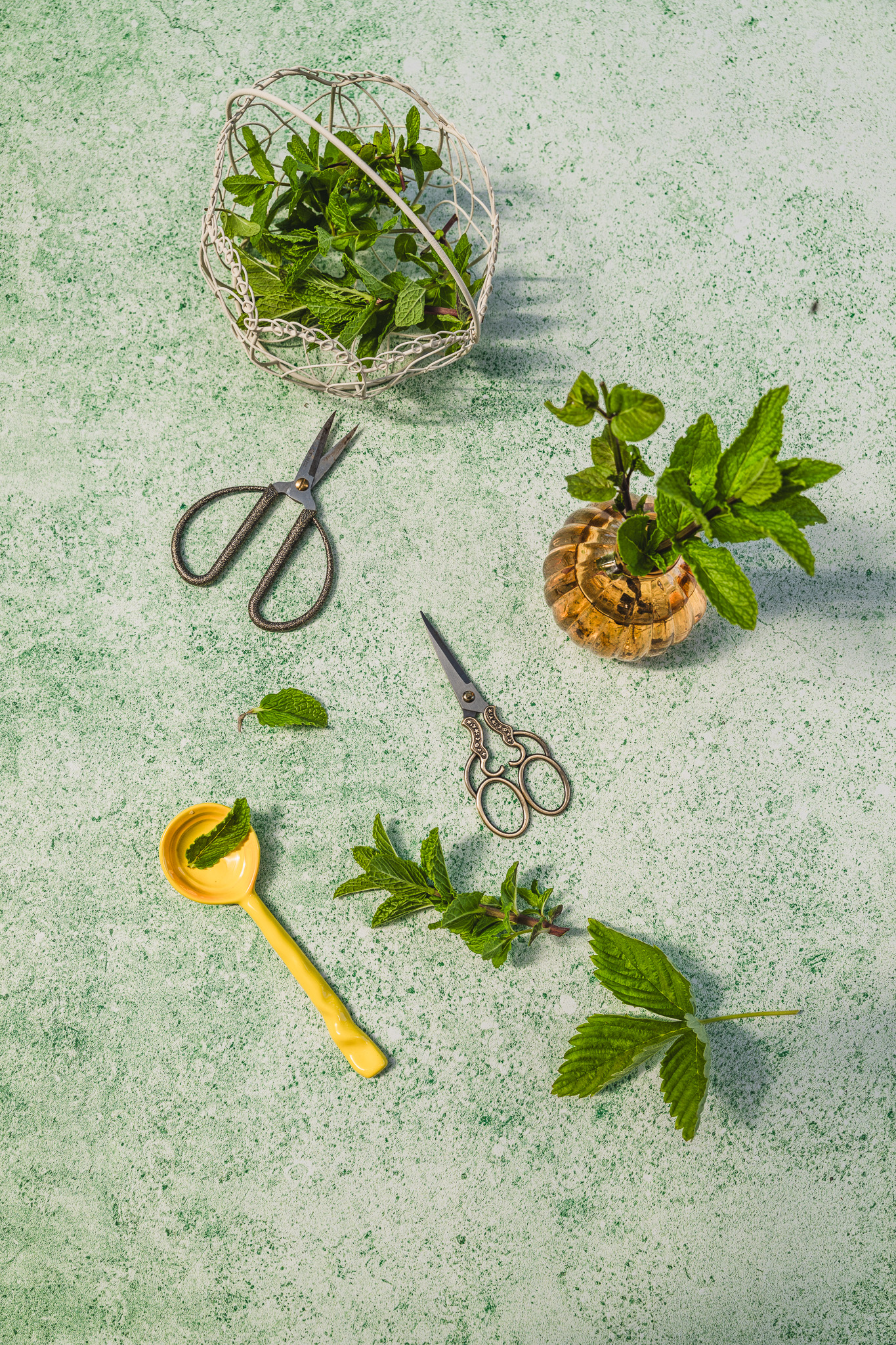 Tło Fotograficzne Fresh Mint