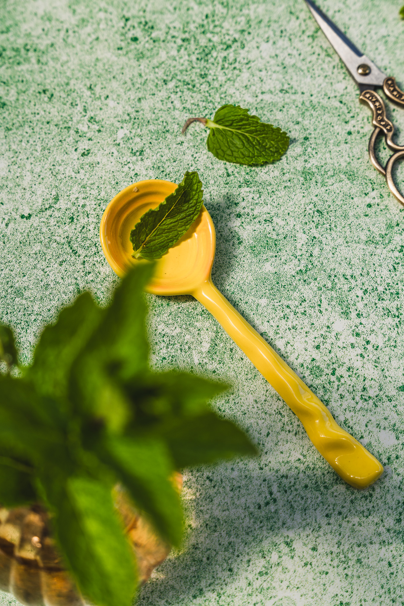Tło Fotograficzne Fresh Mint