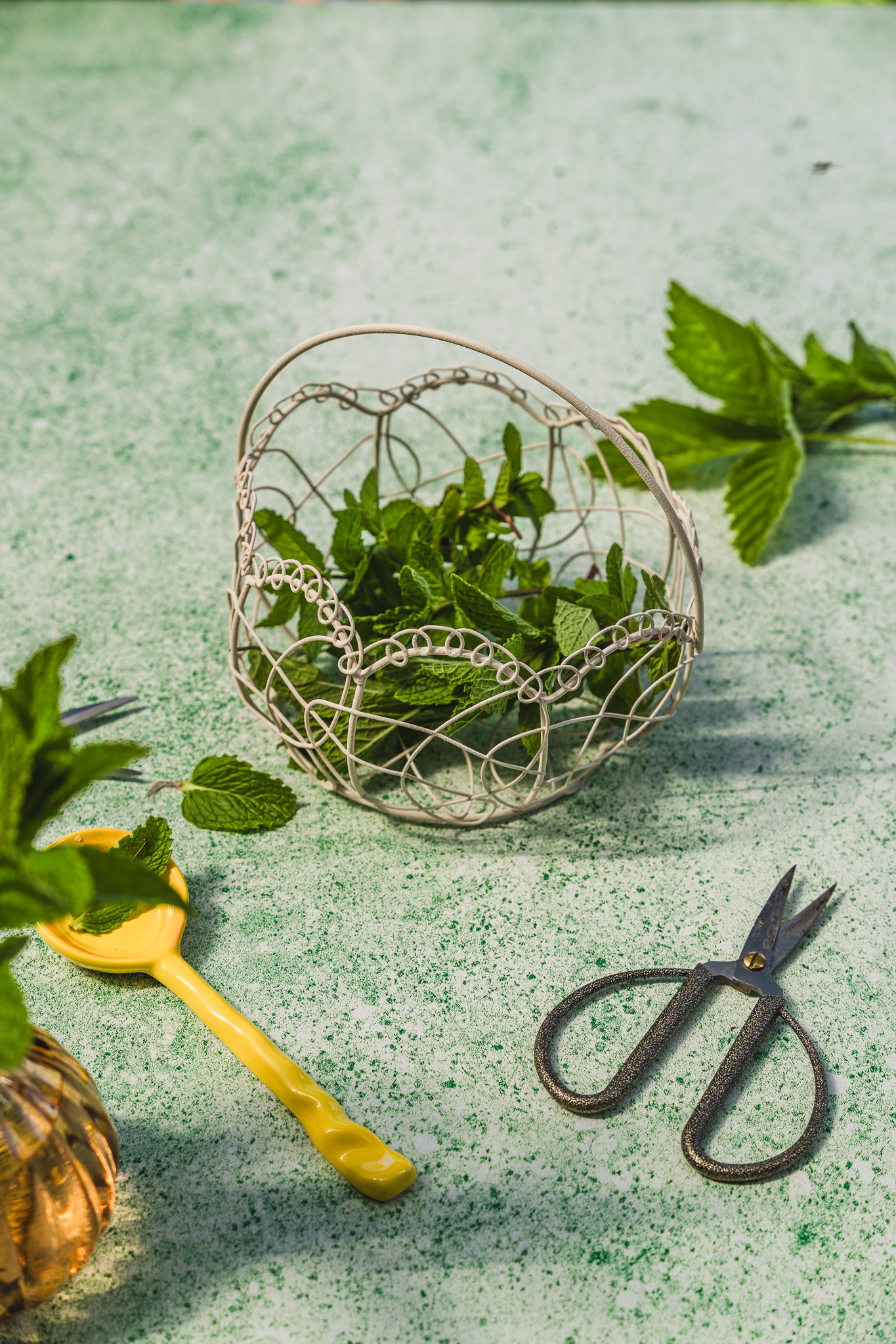 Tło Fotograficzne Fresh Mint
