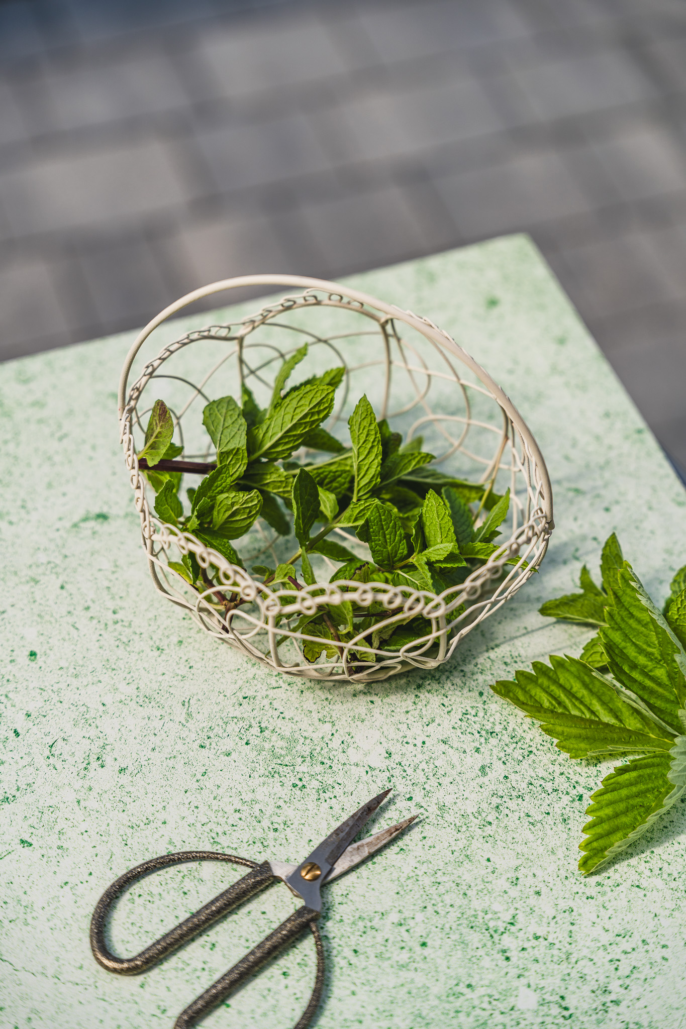 Tło Fotograficzne Fresh Mint