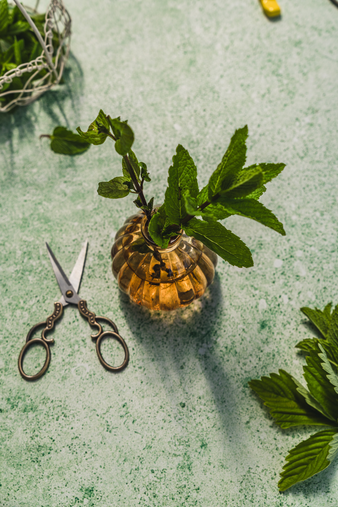 Tło Fotograficzne Fresh Mint
