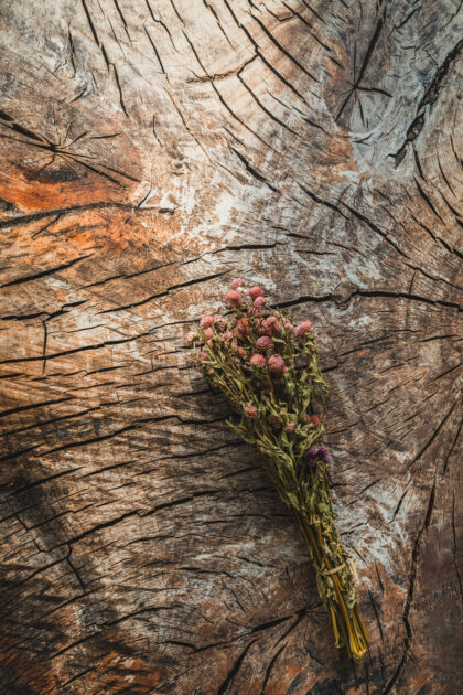 Tło Fotograficzne Earthline