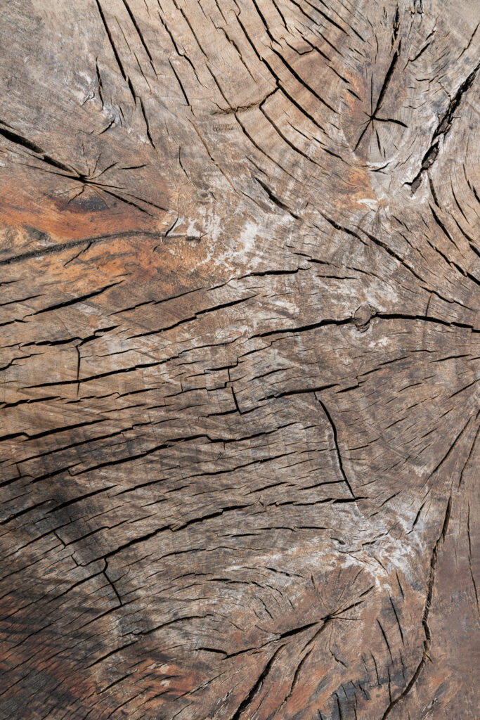 Tło Fotograficzne Earthline