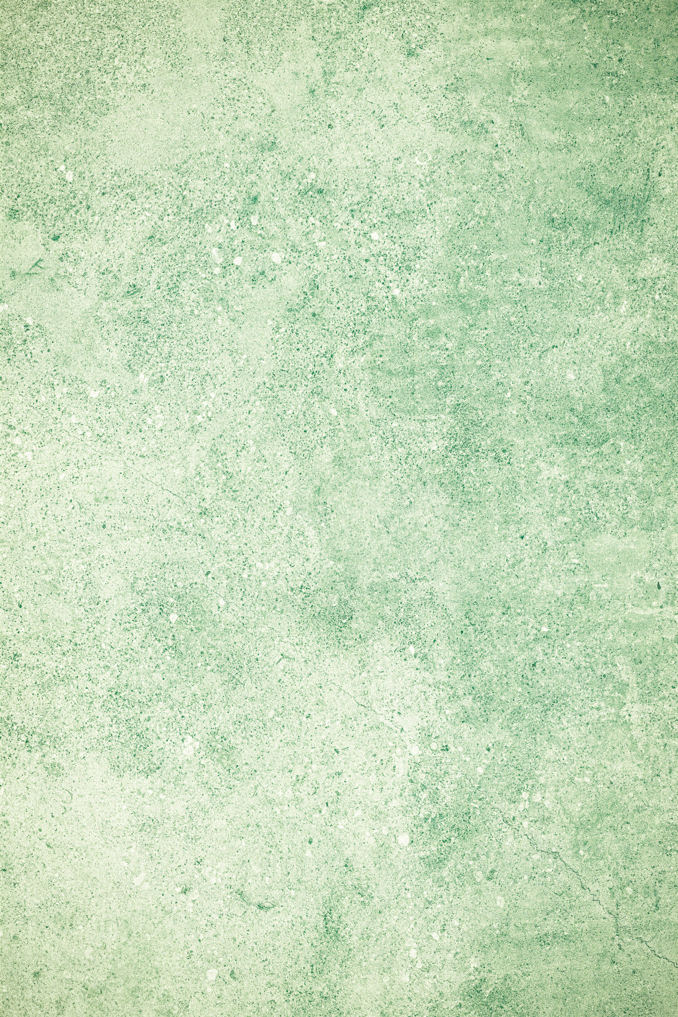 Tło Fotograficzne Fresh Mint